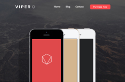 Dynamicxx Email Builder Dynamicxx Email Builder